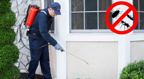 Yalıhüyük Böcek ve Haşere İlaçlama böcek ilaçlama ve haşere kontrolü — ilaclama-tr.com